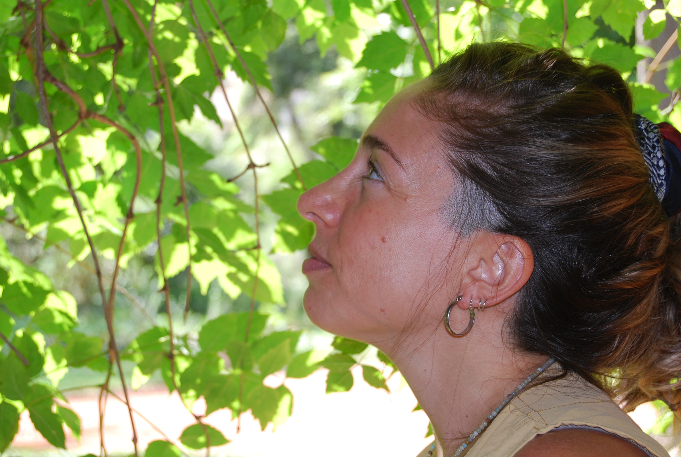 Lau - Laurel Biocosmética