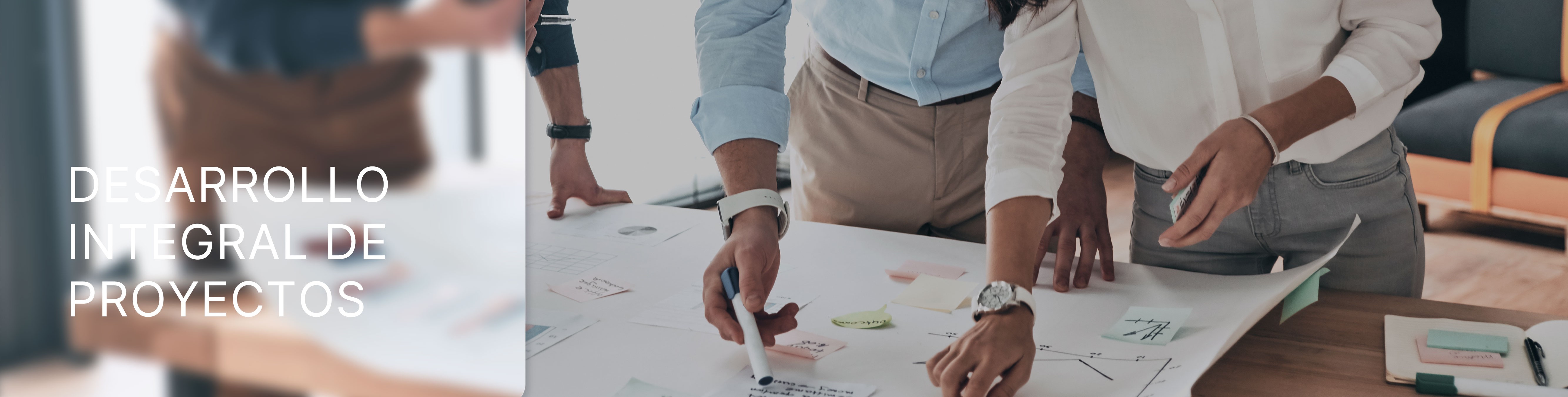 Desarrollo Integral de Proyectos