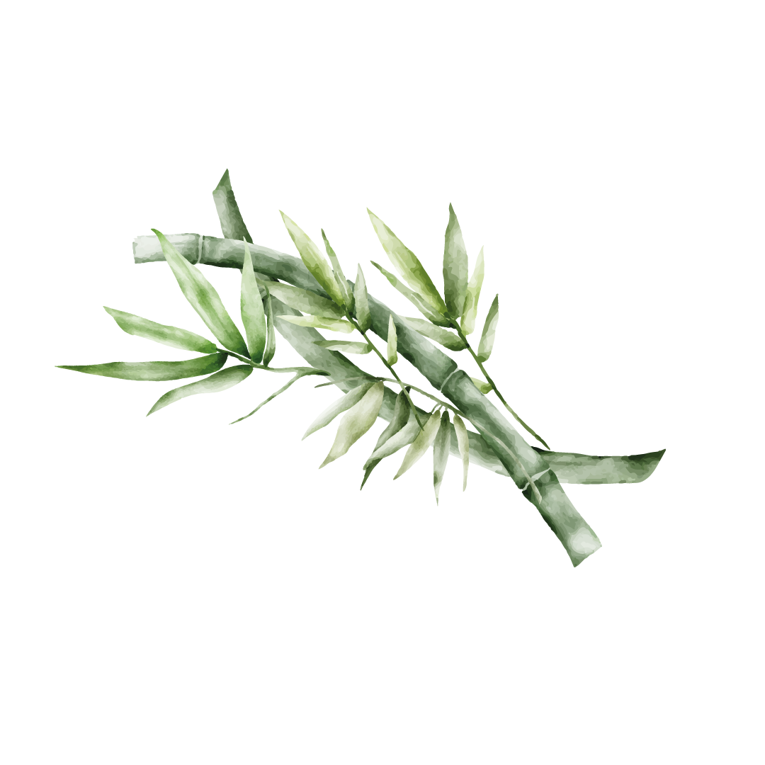 Ilustração Bambu