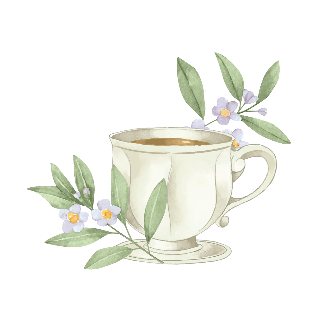 Ilustração Chá Branco