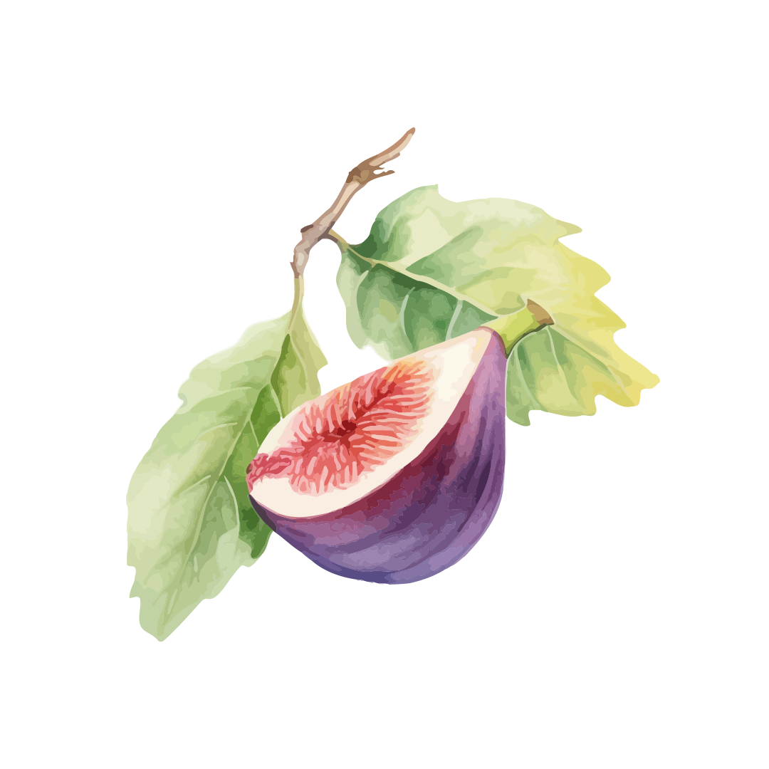 Ilustração Figuier