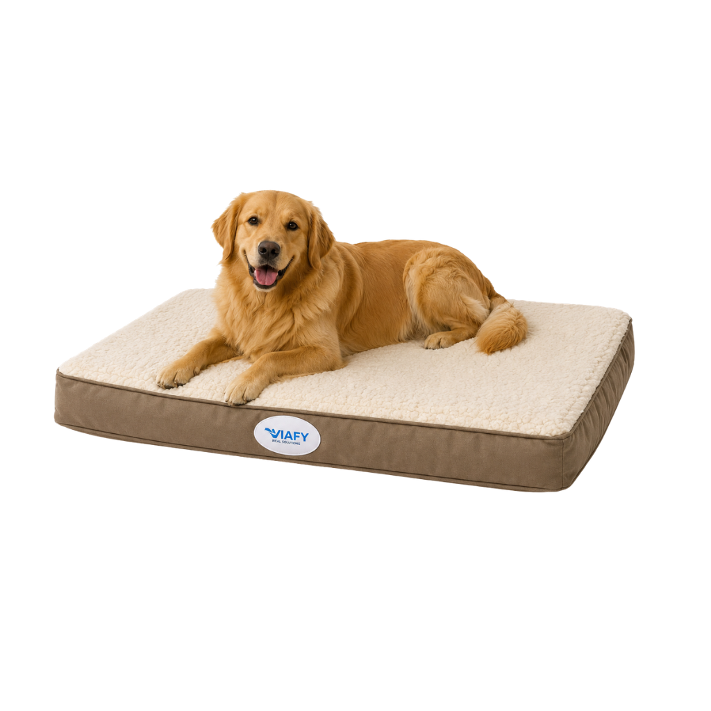 Cama Colchon Cucha