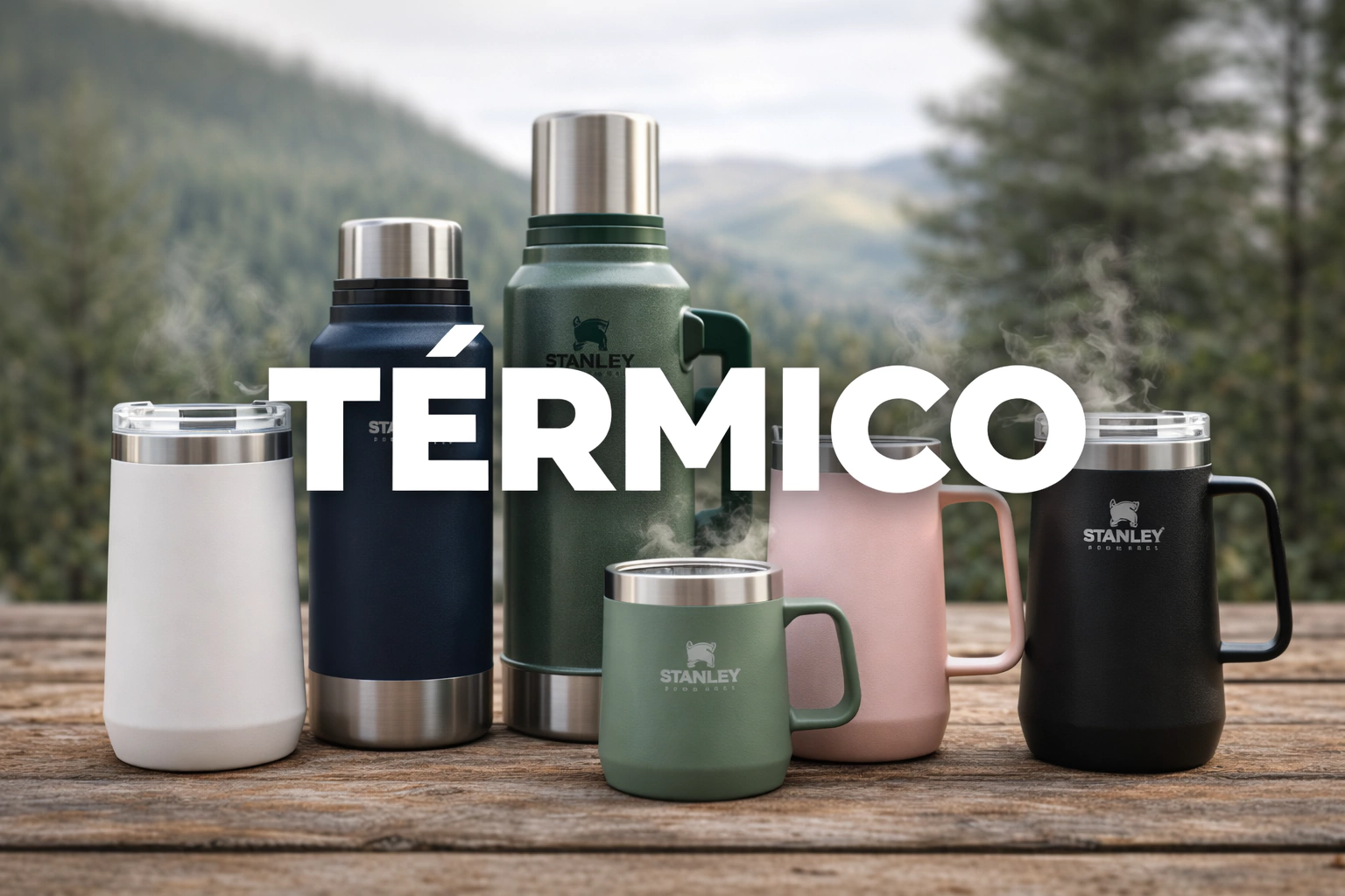 Banner de la categoría Térmico