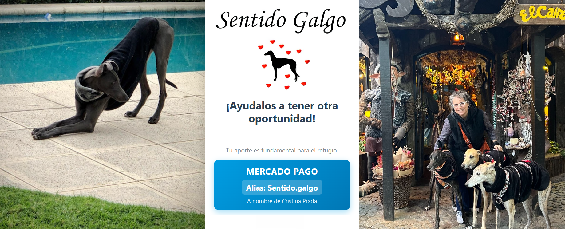 Sentido Galgo