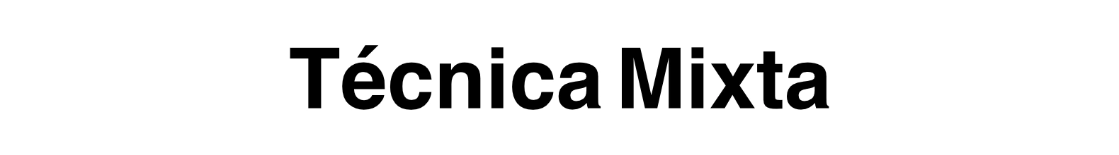 Banner de la categoría Técnica mixta