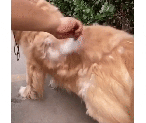 roads go ever, ever on