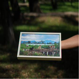 Cuadro terminado fotografiado en exterior