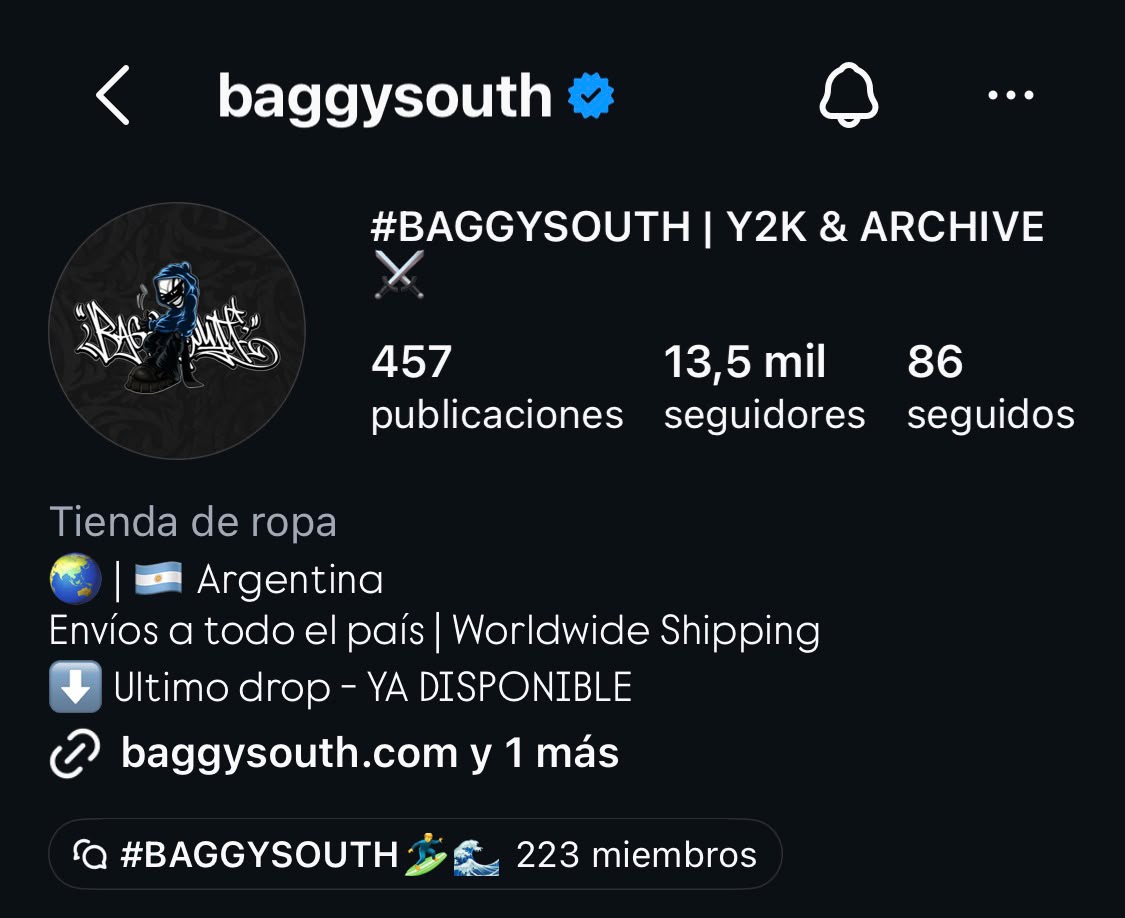 Perfil de Instagram de BaggySouth: 13,5 mil seguidores y 457 publicaciones