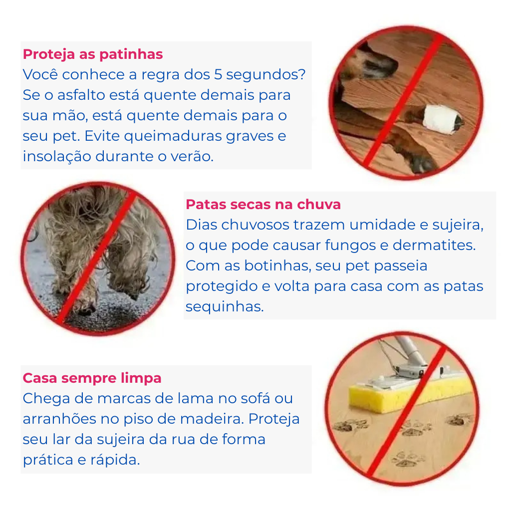 Explicação Botinhas PetStep