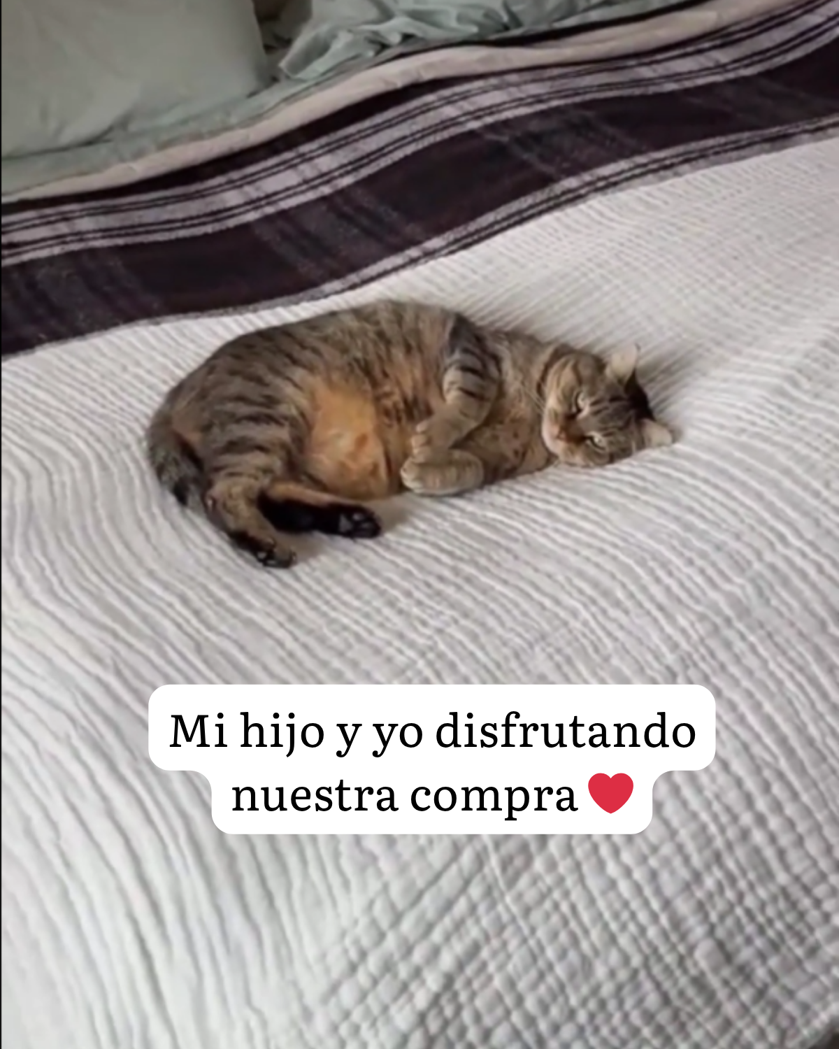 Rese&ntilde;a QTUL - Mica