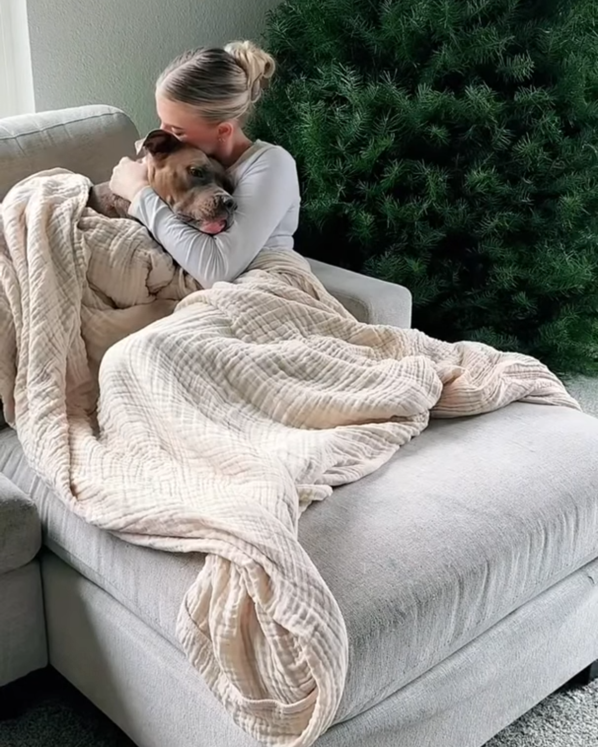 Rese&ntilde;a QTUL - Dani