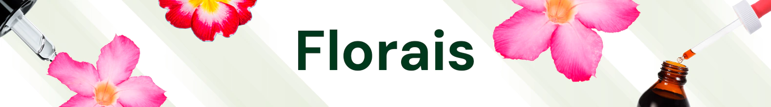 Banner da categoria Florais