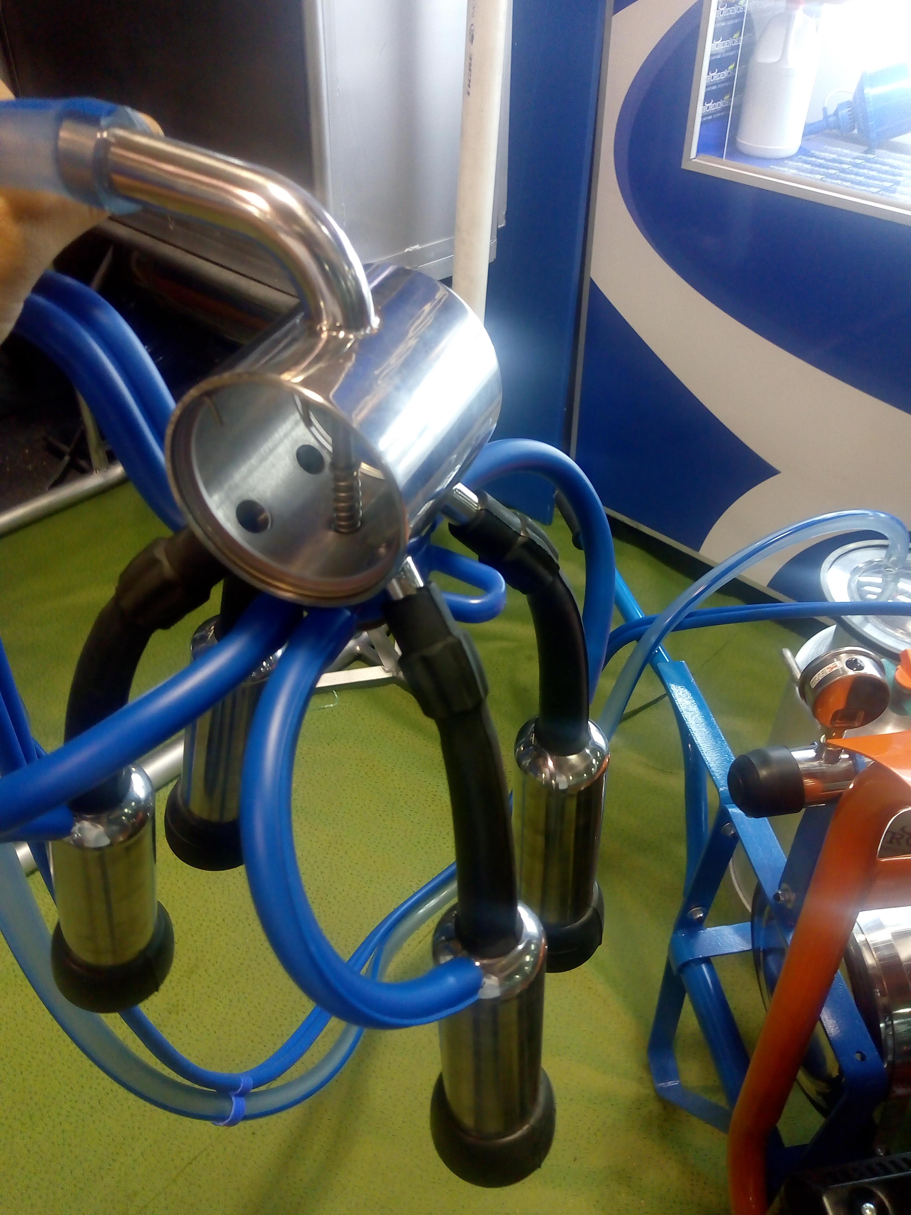 Colector de orde&ntilde;o para vacas ULTRA-RESISTENTE ACERO INOX