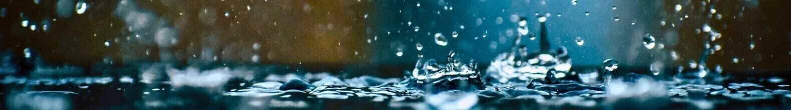 Banner de la categoría COMPLEMENTOS VYX