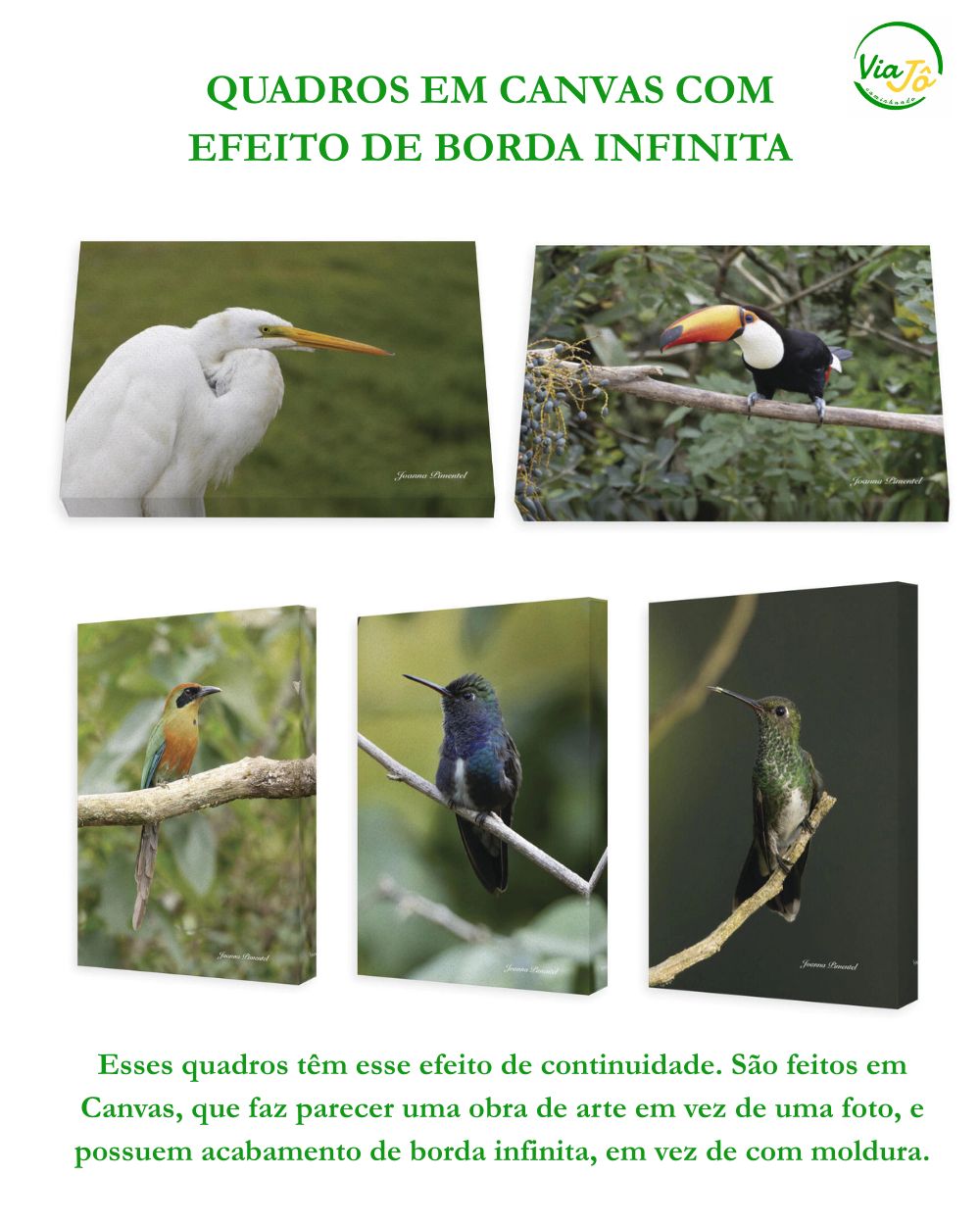 Quadros em Canvas com borda infinita