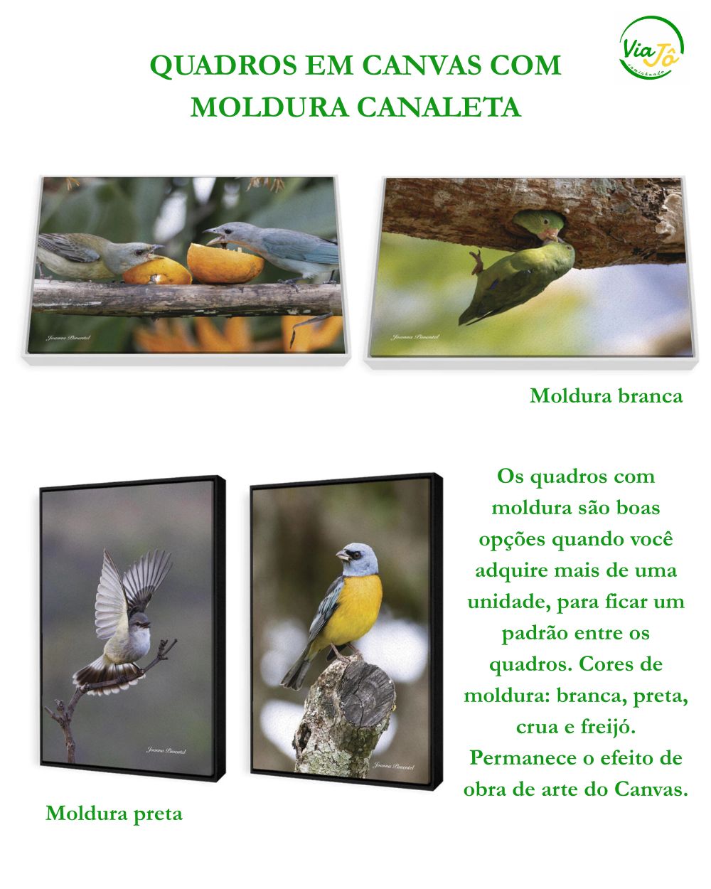 Fotos de quadros com moldura canaleta