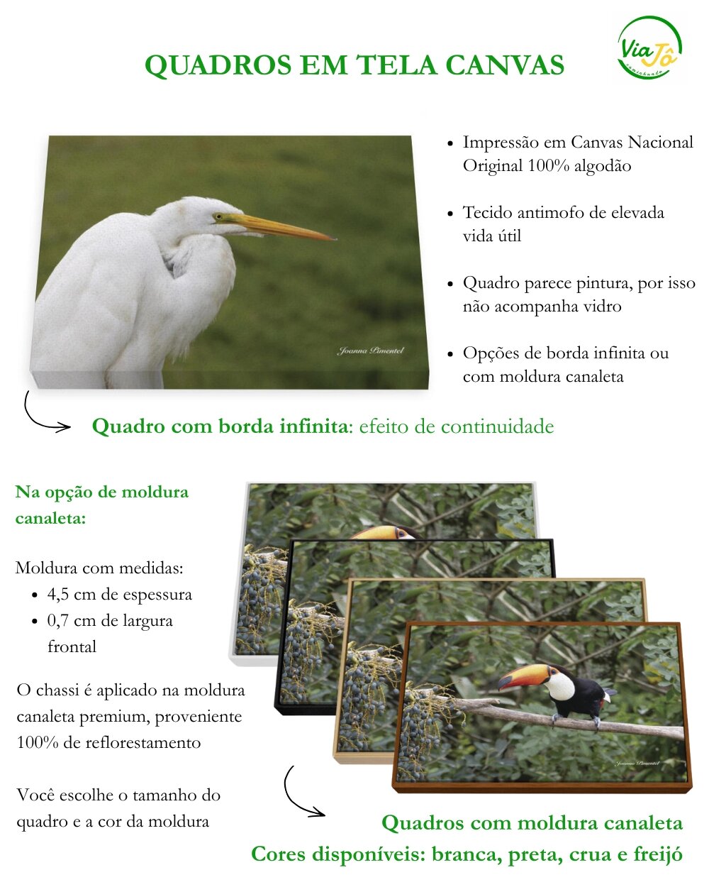 descrição de quadros em Canvas