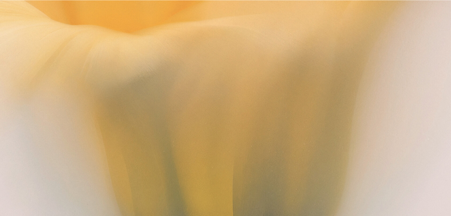 Imagem de fundo da Artista Guto Lacaz