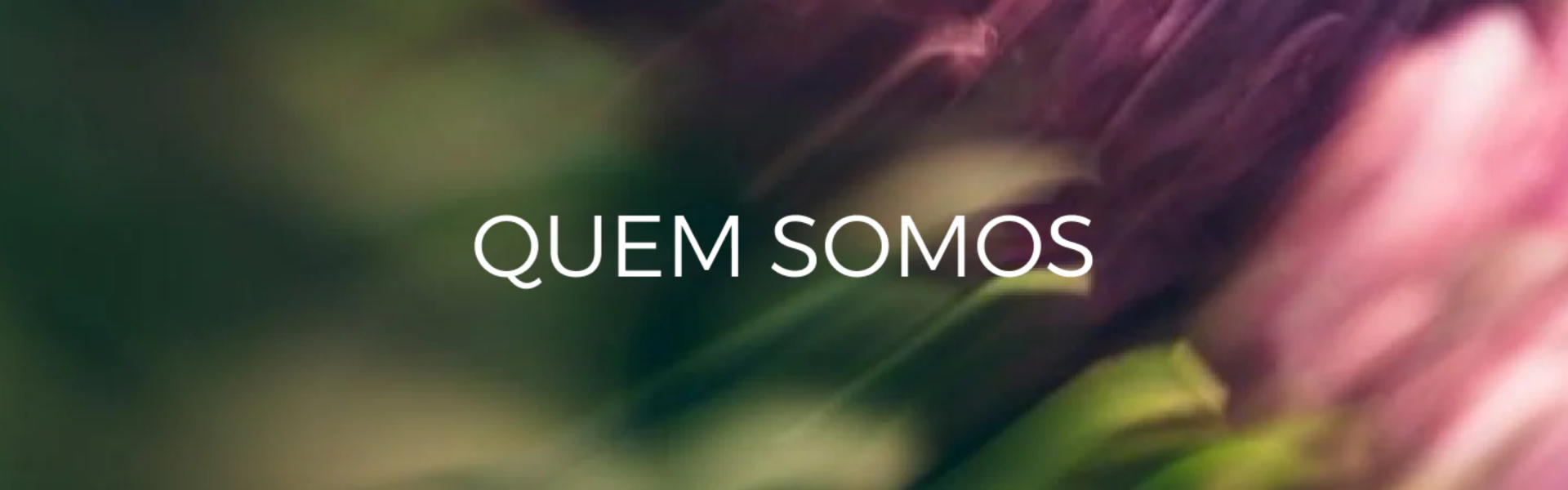Banner Quem somos