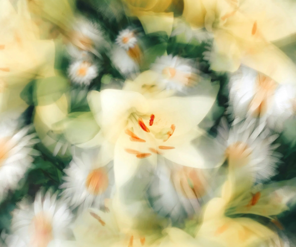 Banner - Sustentabilidade
