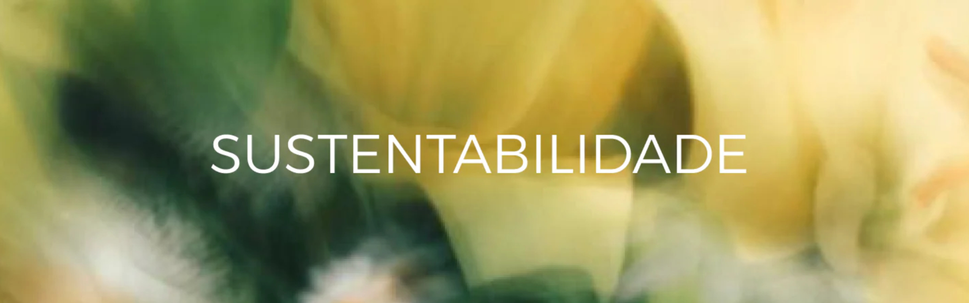 Banner - Sustentabilidade