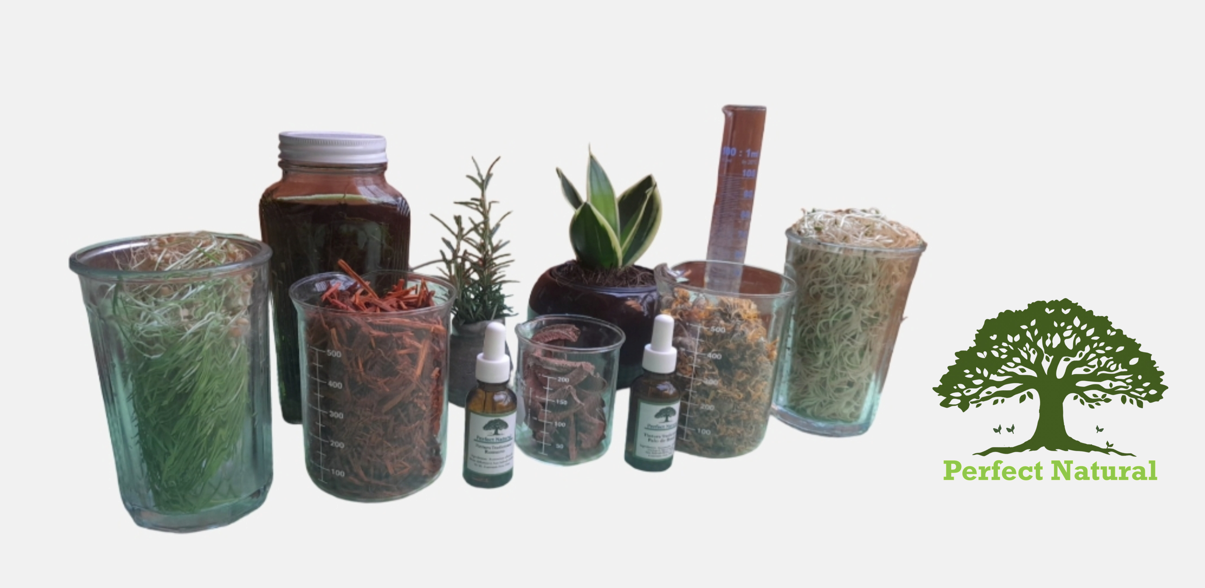 Tinturas madre tradicionales perfect natural corteza de palo de Brasil cuachalalate
