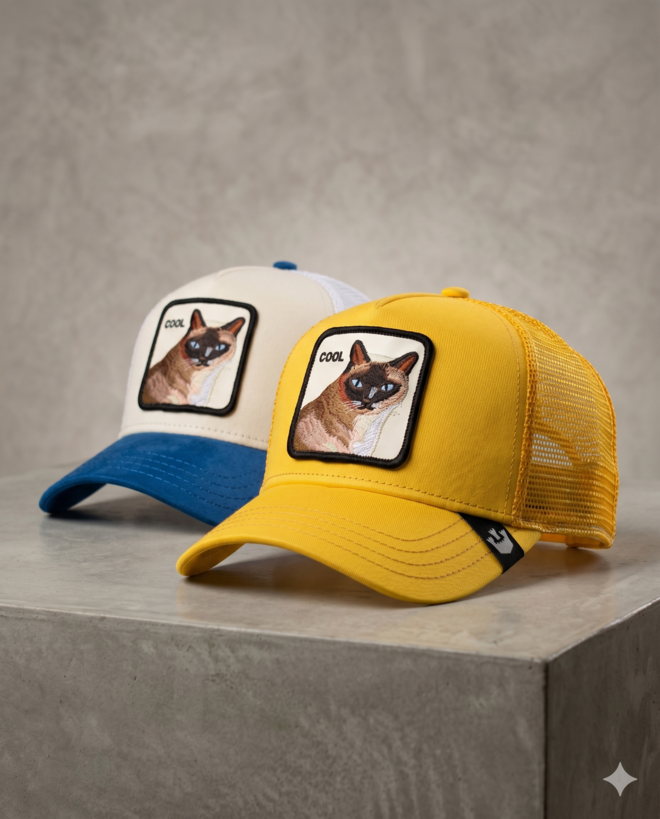 fotografia goorin bros cool gata amarilla  y blanco azul