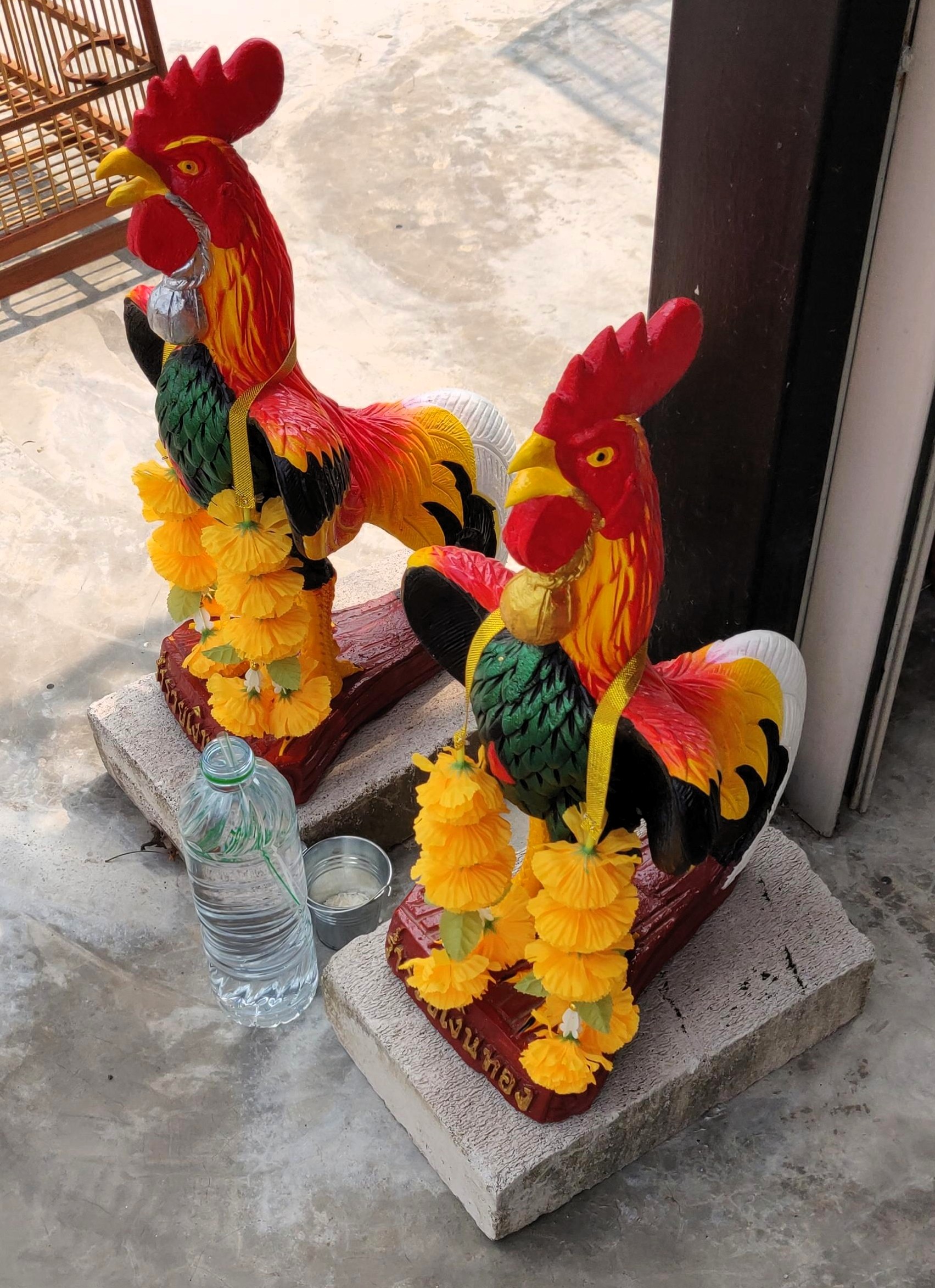 Fotografía original Thong Mongkhon, Bang Saphan, Provincia de Prachuap Khiri Khan, Tailandia. Lugar donde comenzó a tomar forma la idea de ASIARA.