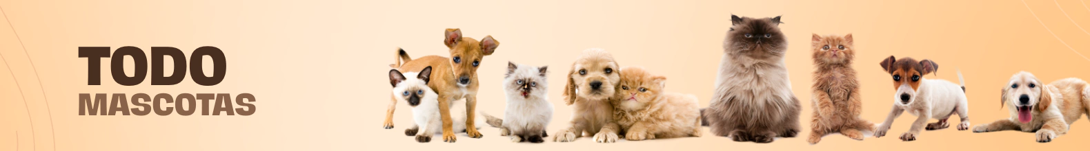 Banner de la categoría Mascotas