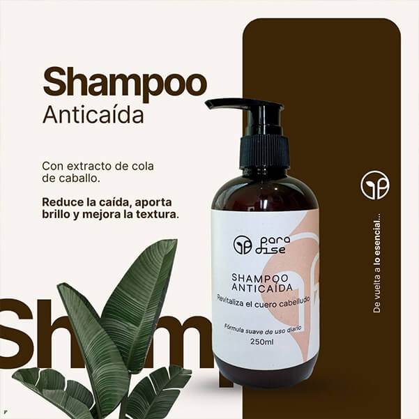 Rutina capilar para potenciar los resultados del shampoo antica&iacute;da con cola de caballo Paradise MX