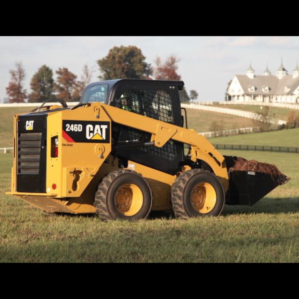CAT 246D