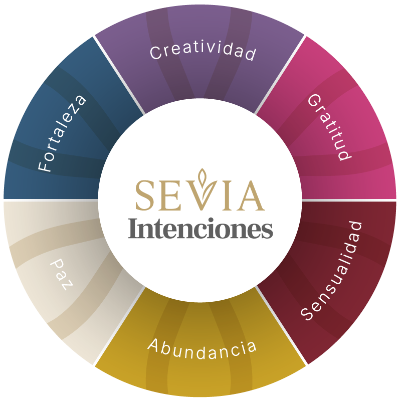 Ciclo de intenciones SEVIA