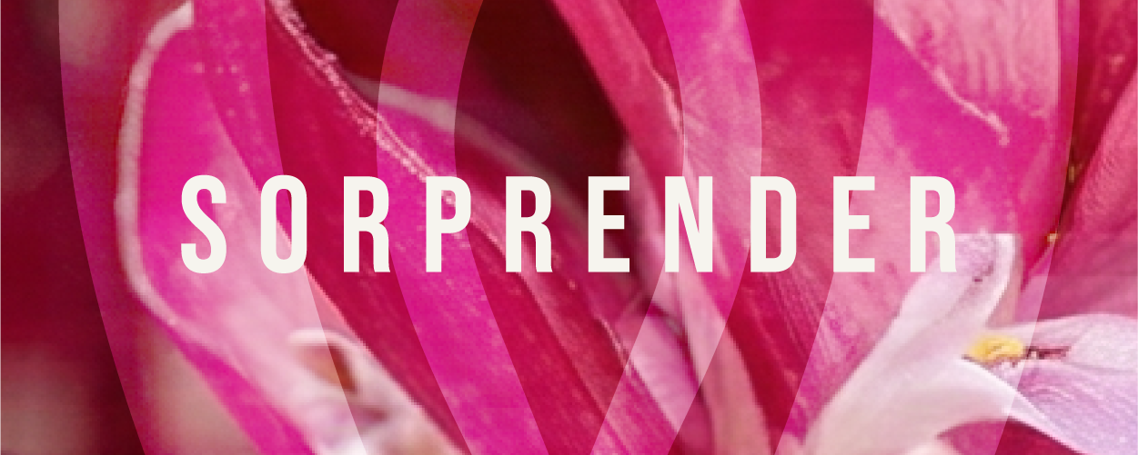 Sorprender