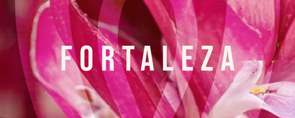Fortaleza