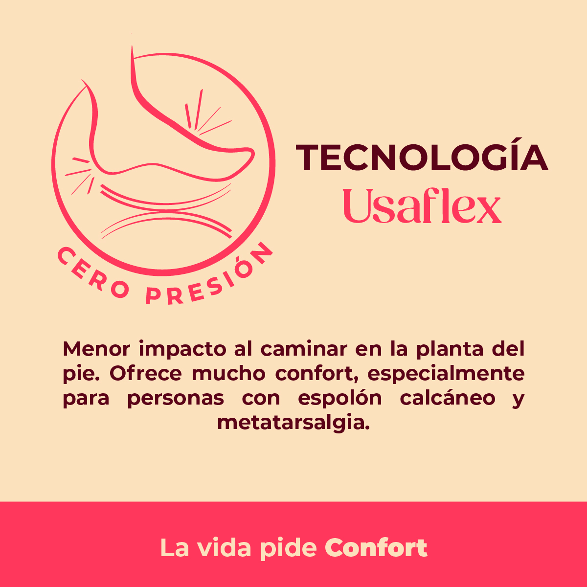 Tecnología 03 Usaflex