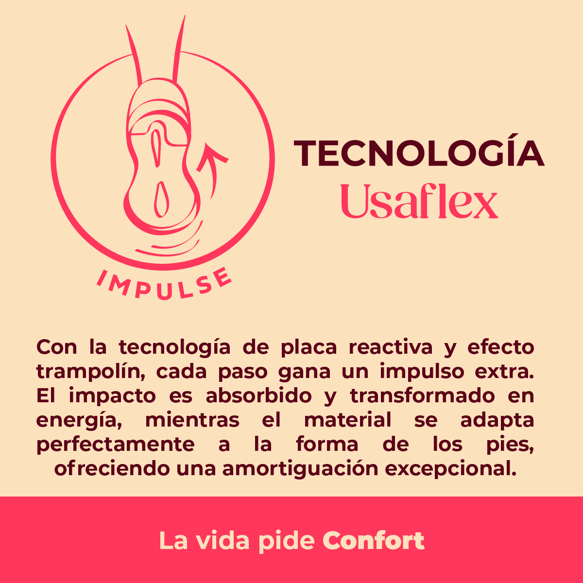 Tecnología 03 Usaflex