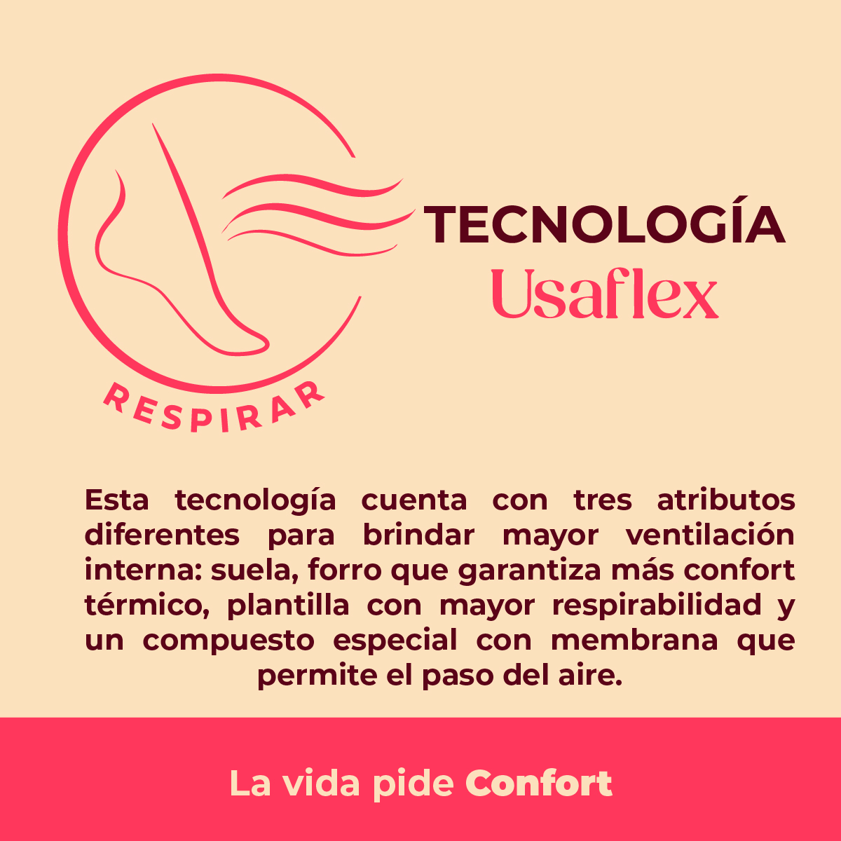 Tecnología 03 Usaflex