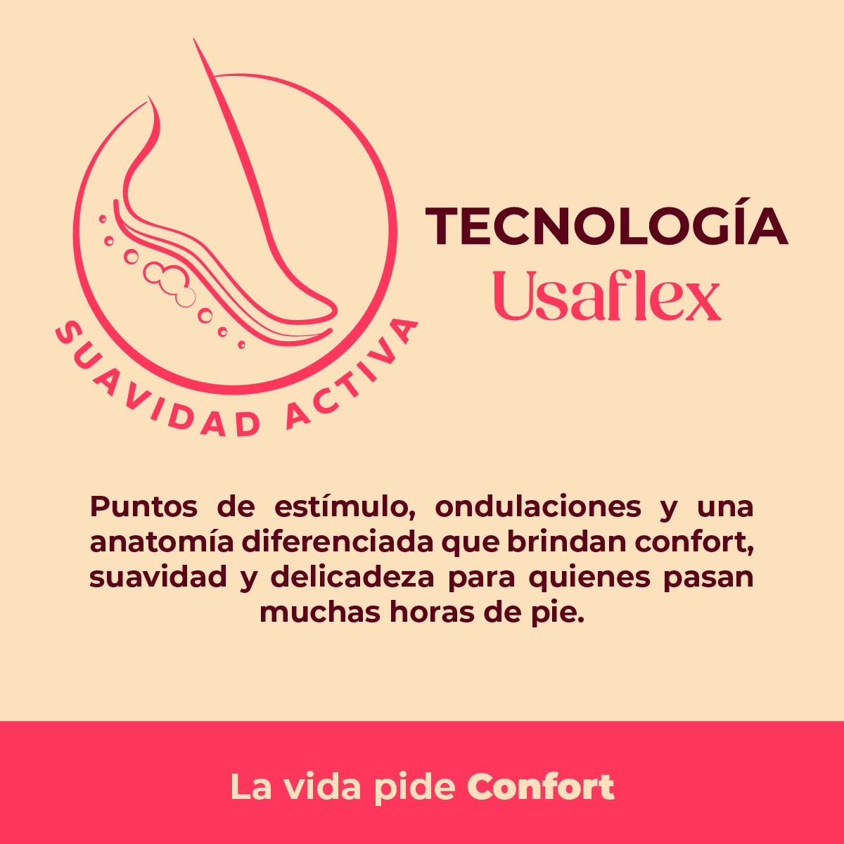 Tecnología 03 Usaflex