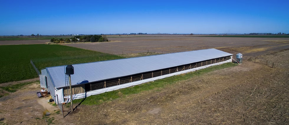 Establecimiento Ekko Huevos