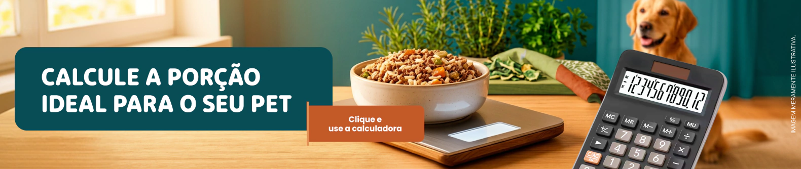 Alimentação natural para cães AN Pets