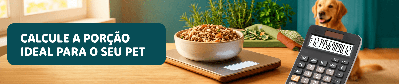 Alimentação natural para cães AN Pets