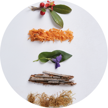 #33 Santal Fever