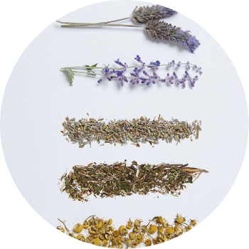 #11 Fresh Lavanda