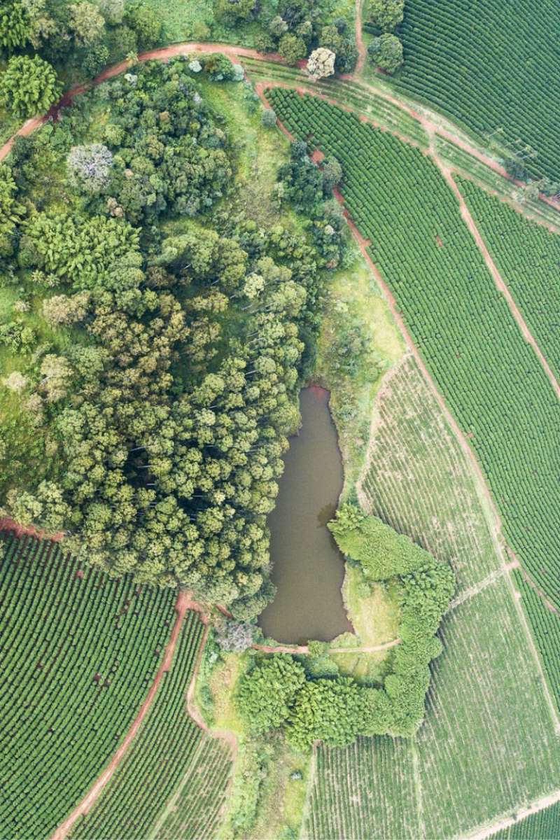 Área preservada da fazenda vista de cima