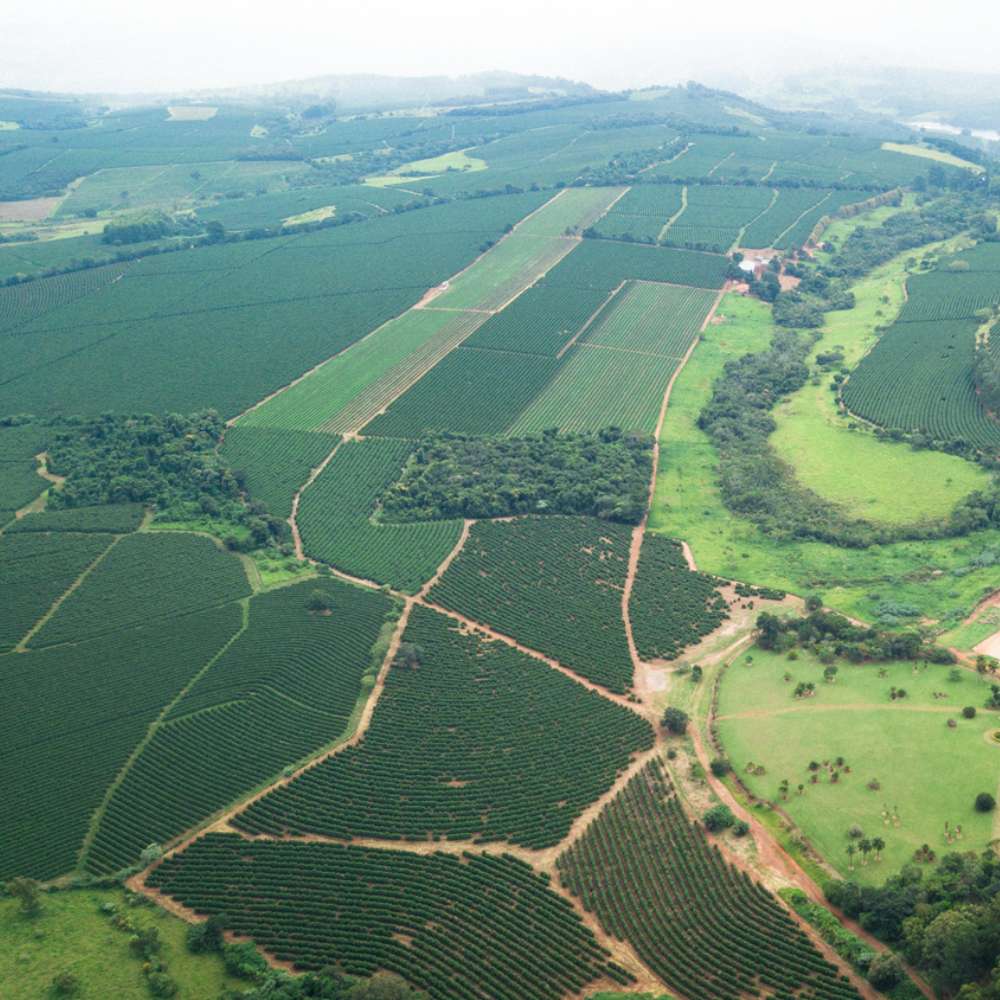 Vista aérea da Fazenda Ipoméia
