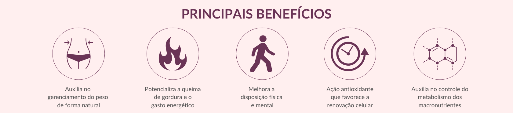 Principais Beneficios Metabolic Green