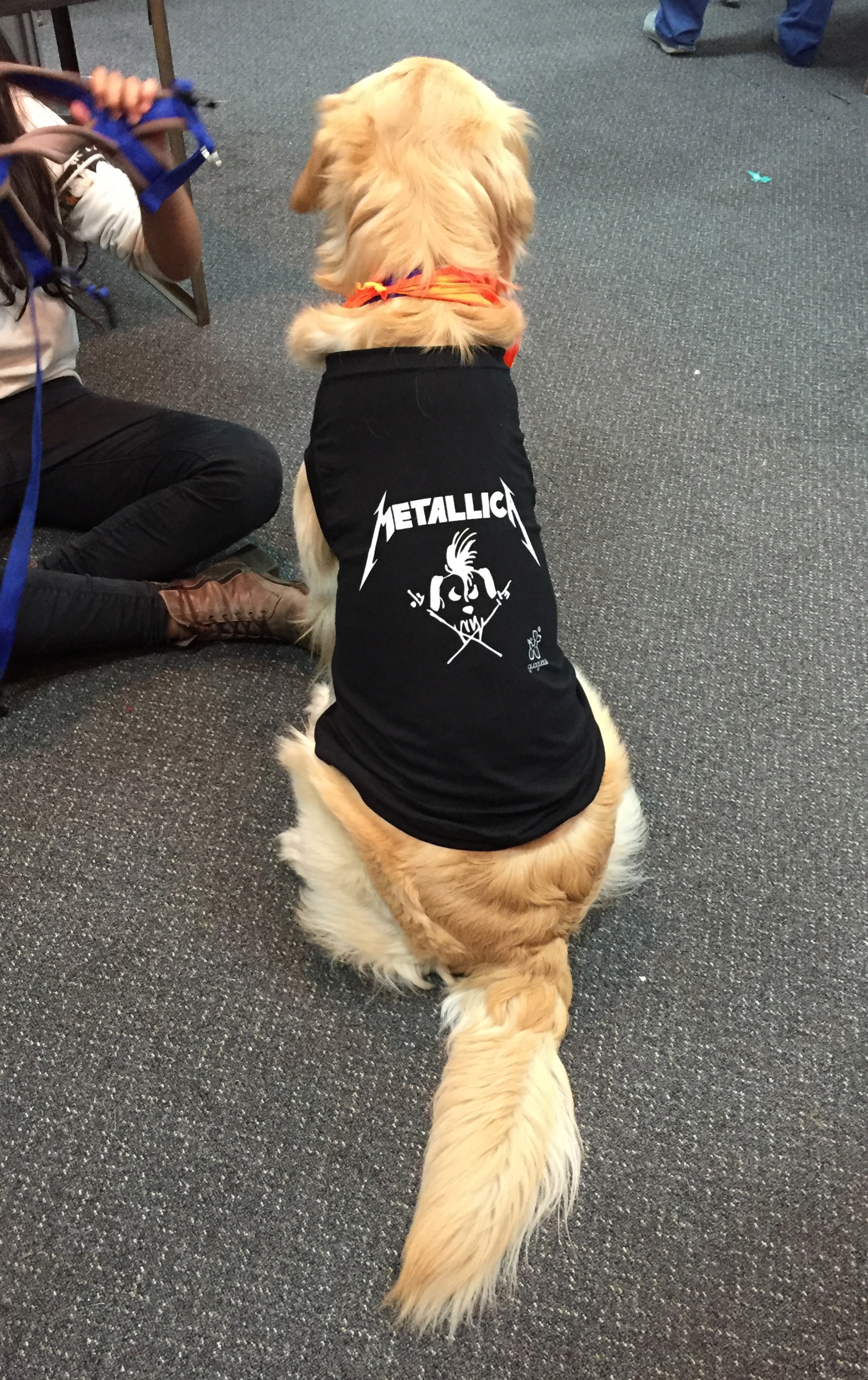 Perro metalero Golden 