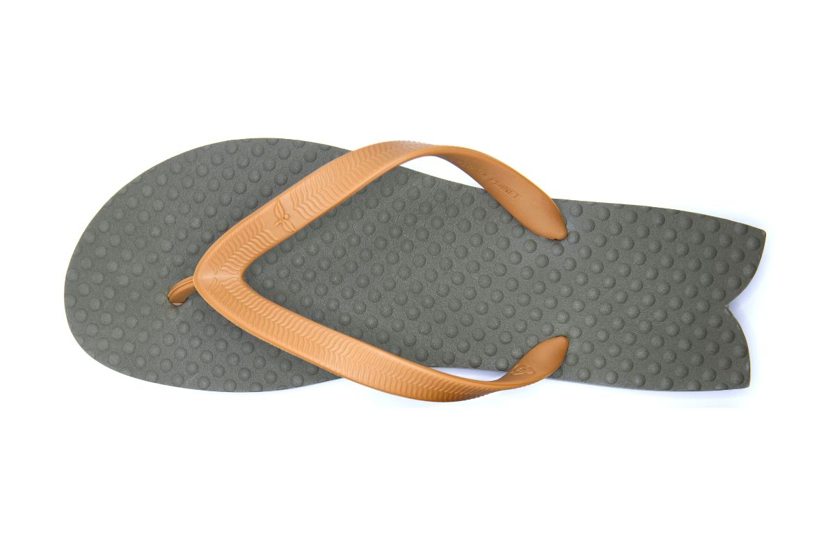 Chinelo Green Fish
