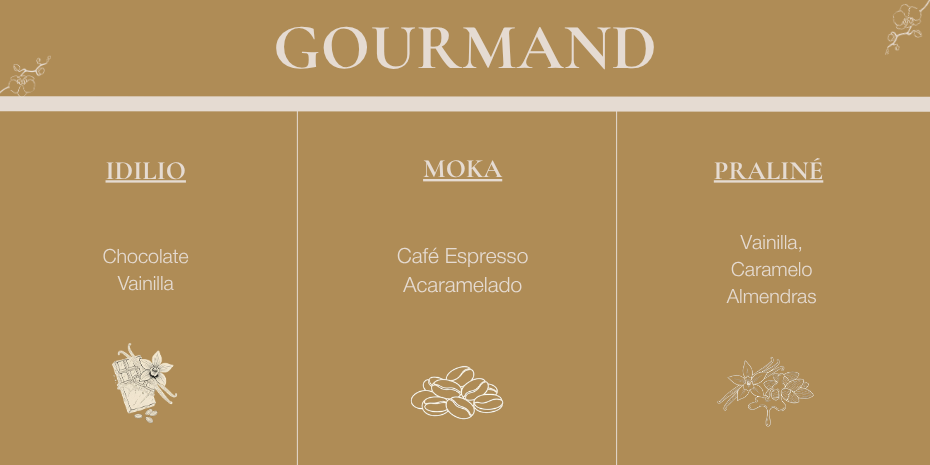 Familia Olfativa Gourmand