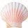 Conchas do mar